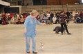 DSC_029245.JPG