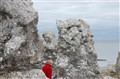 gotland 20 12.JPG